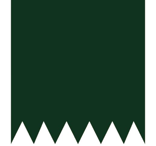Helping Hand Welfare Organization Banner